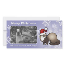 Christmas Ferret