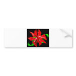 Christmas Flower Customisable bumper stickers