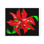 Christmas Flower Customisable postcards