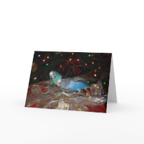 Christmas for the Birdies Greeting Card
