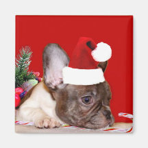 Christmas French Bulldog magnet