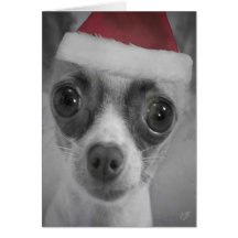 Christmas Funny Chihuahua Puppy with Santa Hat Cards