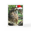 Christmas Giraffe cards