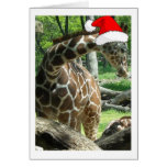 Christmas Giraffe Greeting Card