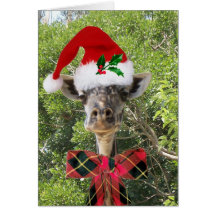 Christmas Giraffe Greeting Cards