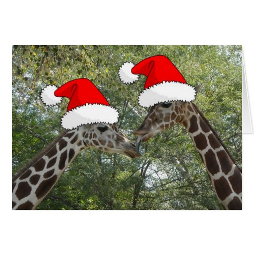 Christmas Giraffes Card