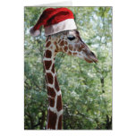Christmas Giraffes Card