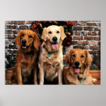 Christmas Golden Retriever Packer Bella Darby #50 Print
