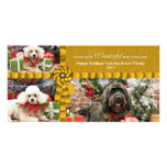 Christmas - GoldenDoodle Poodle Cockapoo - Arnold Photo Cards