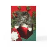 Christmas Greeting Card Kitten Present Gift
