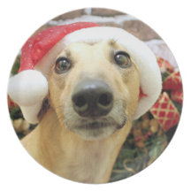 Christmas - Greyhound - Pena Dinner Plate