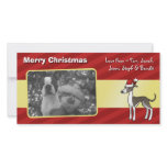 Christmas Greyhound / Whippet / Italian Greyhound photo cards