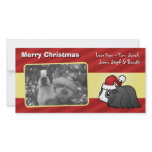 Christmas Guinea Pig (long hair) photo cards
