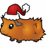 Christmas Guinea Pig Ornament (scruffy) photo sculptures