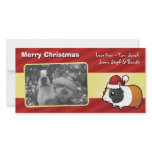 Christmas Guinea Pig (smooth hair) photo cards