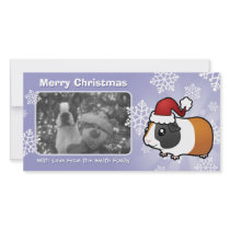 Christmas Guinea Pig (smooth hair)