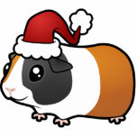 Christmas Guinea Pig (smooth hair) photo sculptures