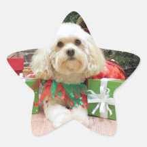 Christmas - Havanese - Mason Star Stickers