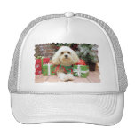 Christmas - Havanese - Mason Trucker Hat