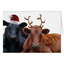 Christmas Holiday Cows in Santa Hat and Antlers Card