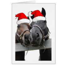 Christmas Horses Cards