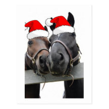 Christmas Horses Postcard