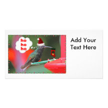 Christmas Hummingbird with Christmas Stocking Custom Photo Card