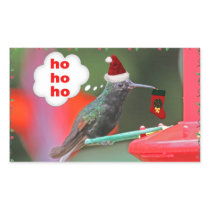 Christmas Hummingbird with Christmas Stocking Sticker