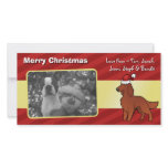 Christmas Irish / English / Gordon / R&W Setter photo cards