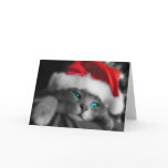 Christmas Kitten