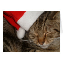 Christmas Kitty Cards