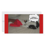 Christmas Kitty Cat Photo Cards