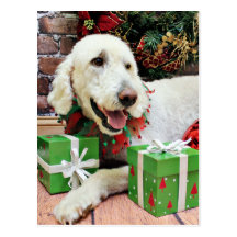Christmas - LabraDoodle - Davis Postcards