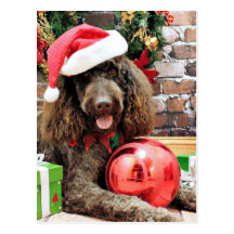 Christmas - LabraDoodle - Harley Postcard