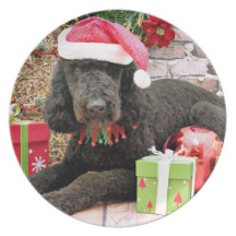 Christmas - LabraDoodle - Miller Dinner Plate