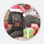 Christmas - LabraDoodle - Miller Magnets