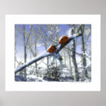 Christmas ladybirds posters