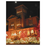 Christmas Lights House flyers