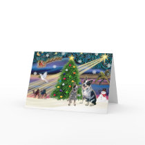 Christmas Magic Australian Cattle Dogs (two) Cards