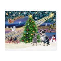 Christmas Magic Australian Cattle Dogs (two) Postcard