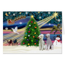 Christmas Magic Bedlington Terriers (two) Card