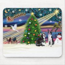 Christmas  Magic-Boston Terrier (2) Mouse Mats