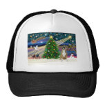 Christmas Magic Boxer 1cr - Mesh Hat