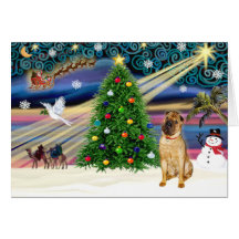 Christmas Magic Chinese Shar Pei (fawn) Greeting Cards