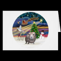 Christmas Magic - Guinea Pig #1 cards