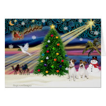 Christmas Magic Jack Russell Terrier (two) Cards
