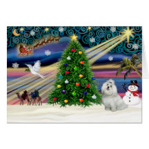 Christmas Magic Malt4ese 7- Greeting Card