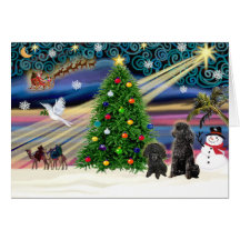 Christmas Magic Poodles (two black Toy) Cards