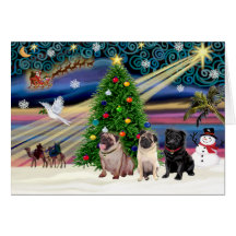 Christmas Magic Pugs (three, 2 fawn, 1 black) Cards