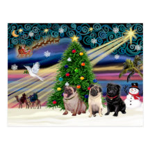 Christmas Magic Pugs (three, 2 fawn, 1 black) Post Cards